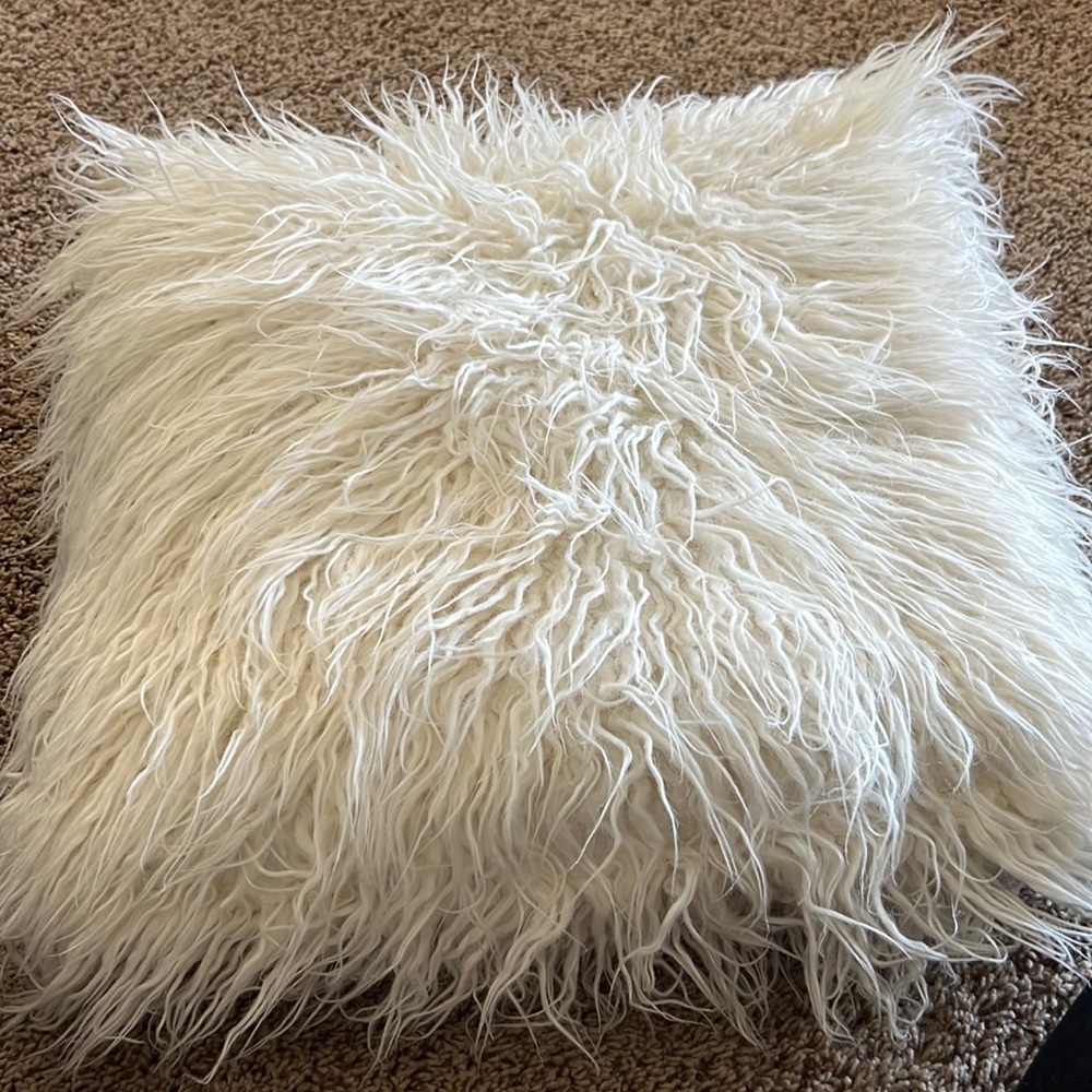 Pottery Barn faux fur pillow.